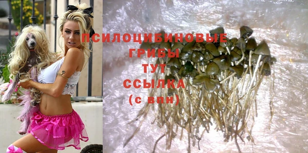 соль курить ск Рославль