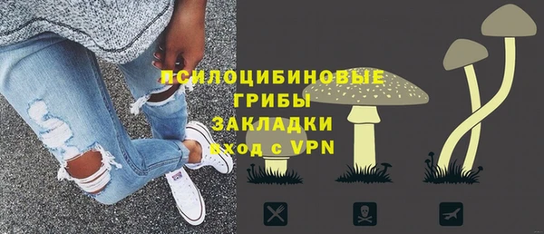 соль курить ск Рославль